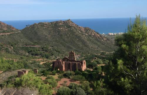 En las montañas de Benicassim - Foto 24