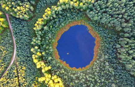 SECOND HOME Lubawa - 3 pokoje, 5 łóżek, Netflix i Max, parking, winda - Foto 29