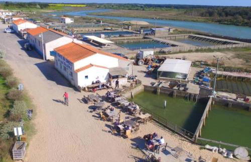 "LA VILLA DES HAUTES MERS" Villa 4 étoiles, 10 personnes, piscine privée chauffée, parc arboré, proche plage et marais - Foto 57