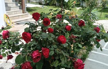 Elizabeth's apartment1 - Foto 11