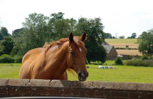 Meddlars a historic cottage on the countryside edge of a vibrant Market Town - Foto 30