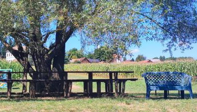 Pri Fiškušu - Photo 3