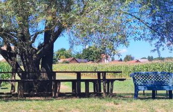 Pri Fiškušu - Foto 3