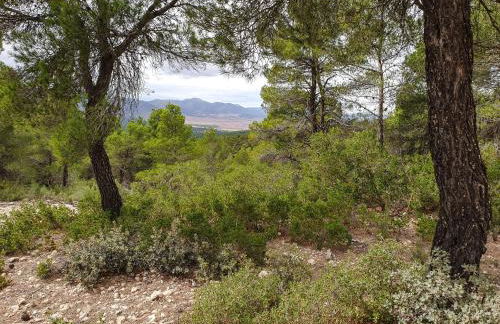 Casa La Sorpresa - Foto 22