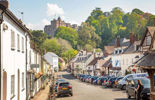 Seashells - Photo 20