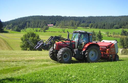 Ferienbauernhof-Holops - Foto 17