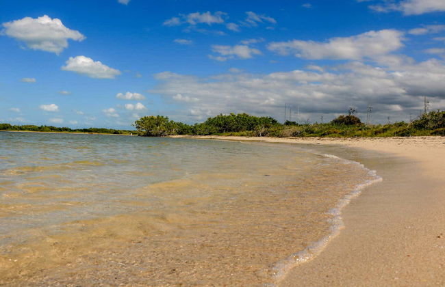 Paseo en barco por los manglares de Río Lagartos - Foto 6