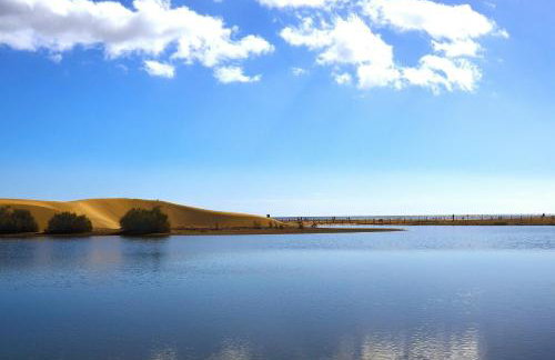 Apartamentos Picnic - Foto 19