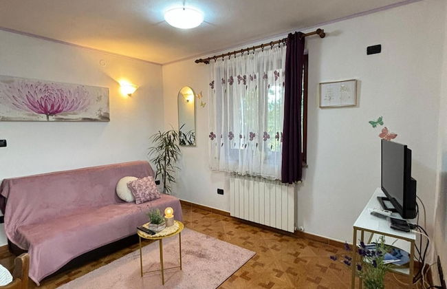 Apartment Viola - Foto 10