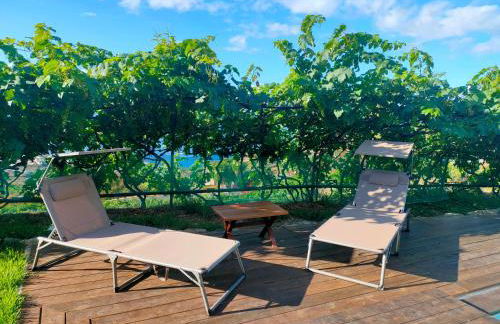 Finca Los Viñedos Verdes - Foto 45