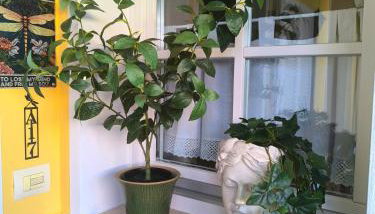 Apartment Dragonfly - Foto 3