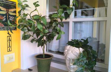 Apartment Dragonfly - Photo 3