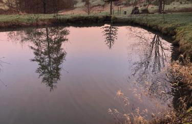 Maison pittoresque à Sainte-Croix-aux-Mines, vue sur la montagne - Foto 60