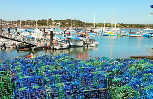 Alvor Seven - Photo 15
