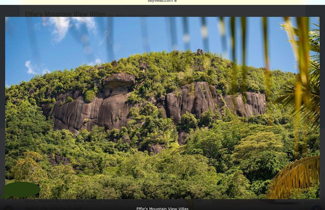 Effi Mountain View Colibri Villa - Photo 15