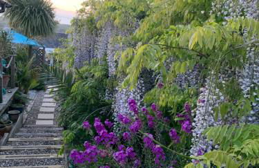 Stargazy Garden - Foto 7