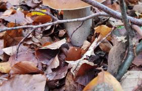 Domek w polu - Foto 52