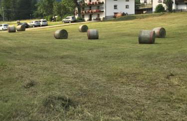 Flora Alpina apartments-Residenza Verdebjo - Foto 8