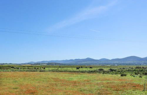 Tan Y Coed - Nasareth - Photo 28