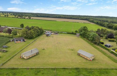 Fallow - Uk47397 - Foto 19