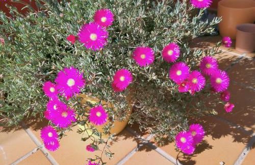 Casa de Sunny - Foto 16