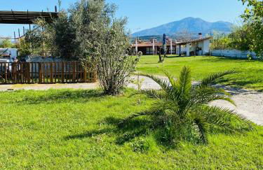 Village Dimopoulos - Photo 26