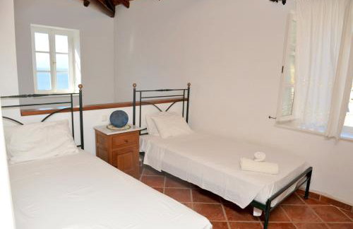 Hydra Erato - Foto 59