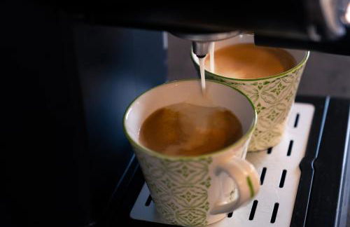 Les Orchidées - Foto 12