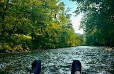 Perfect Vermont Battenkill Log Cabin - Photo 34