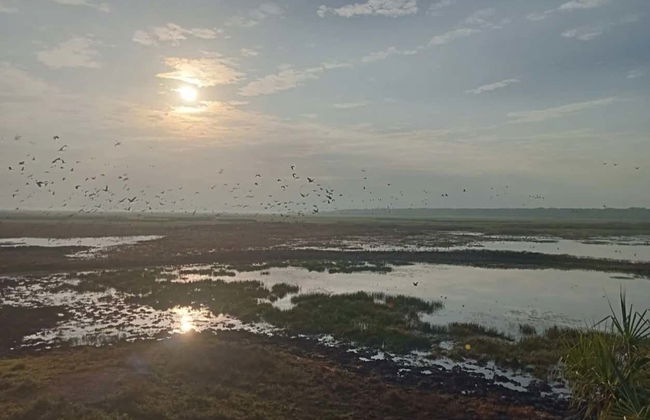 Darwin Private City Tour - Photo 2