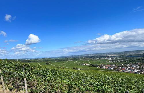 Haus Neugebauer-Gästehaus Garni - Foto 41