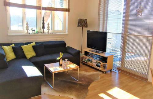 Ferienwohnungen Schönbachtal - Foto 43