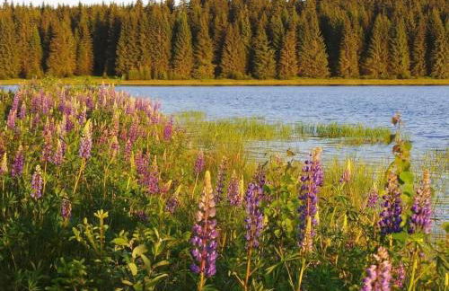 Apartment Fewo Am Skihang EG by Interhome - Foto 13