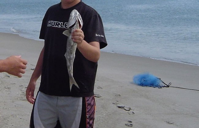 Tuckaway Shores Resort - Foto 41