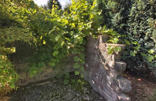 Apartment in upper floor in nature reserve. - Foto 21