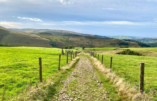 The Forge - Photo 24