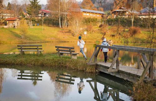 Apartment in Neuschonau With Parking Space - Foto 128