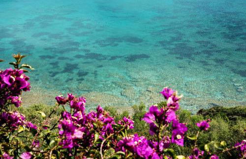 Casa Valery Wonderful Sea View - Photo 36