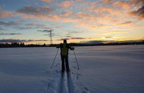 ****FH Blauvogel 60 Harz - Foto 40
