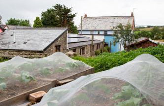 Yetland Farm Holiday Cottages - Foto 9