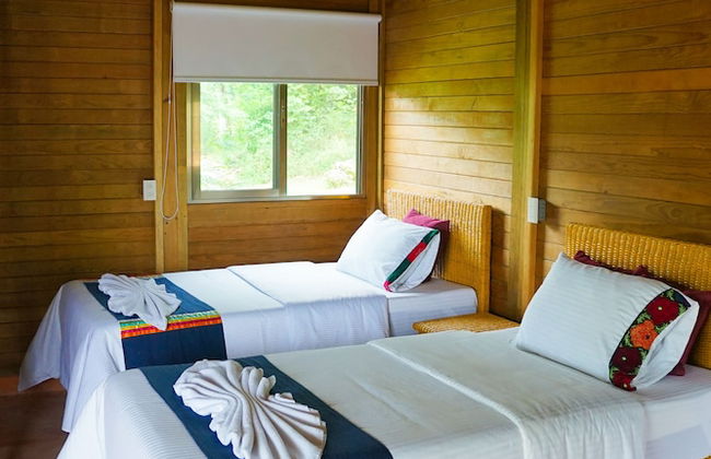 Winíka Alterra - Foto 4