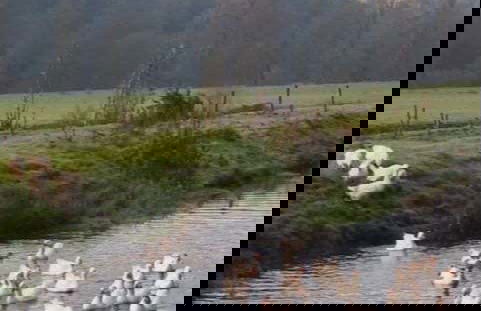 Trekking a Round Hill - Foto 2