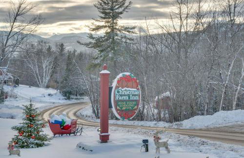 1 Mi to Black Mountain Home with Hot Tub Access - Foto 23