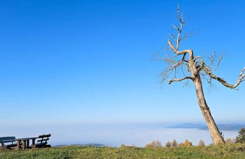 WALD WIESE cottage - Foto 25