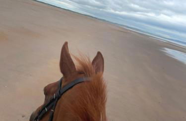 Stewards Bothy - Foto 56