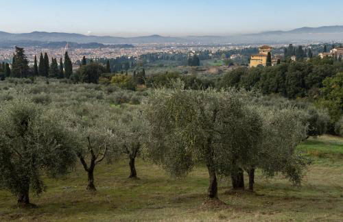 Agriturismo Fattoria Di Maiano - Foto 28