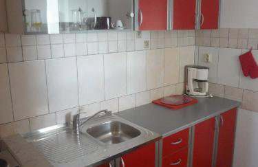 Apartments Ždravac - Photo 40