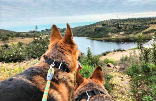 FINCA RIODIEL - Foto 44