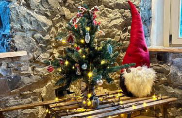 Appartamenti La Rocia - Foto 29