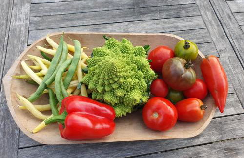 Gîte Paimpol Le Poullou - Photo 57